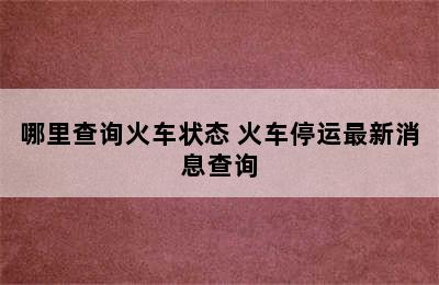 哪里查询火车状态 火车停运最新消息查询